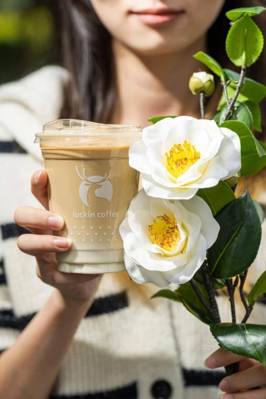 瑞幸咖啡新品“山茶花·Dirty”,秋天味蕾的律动